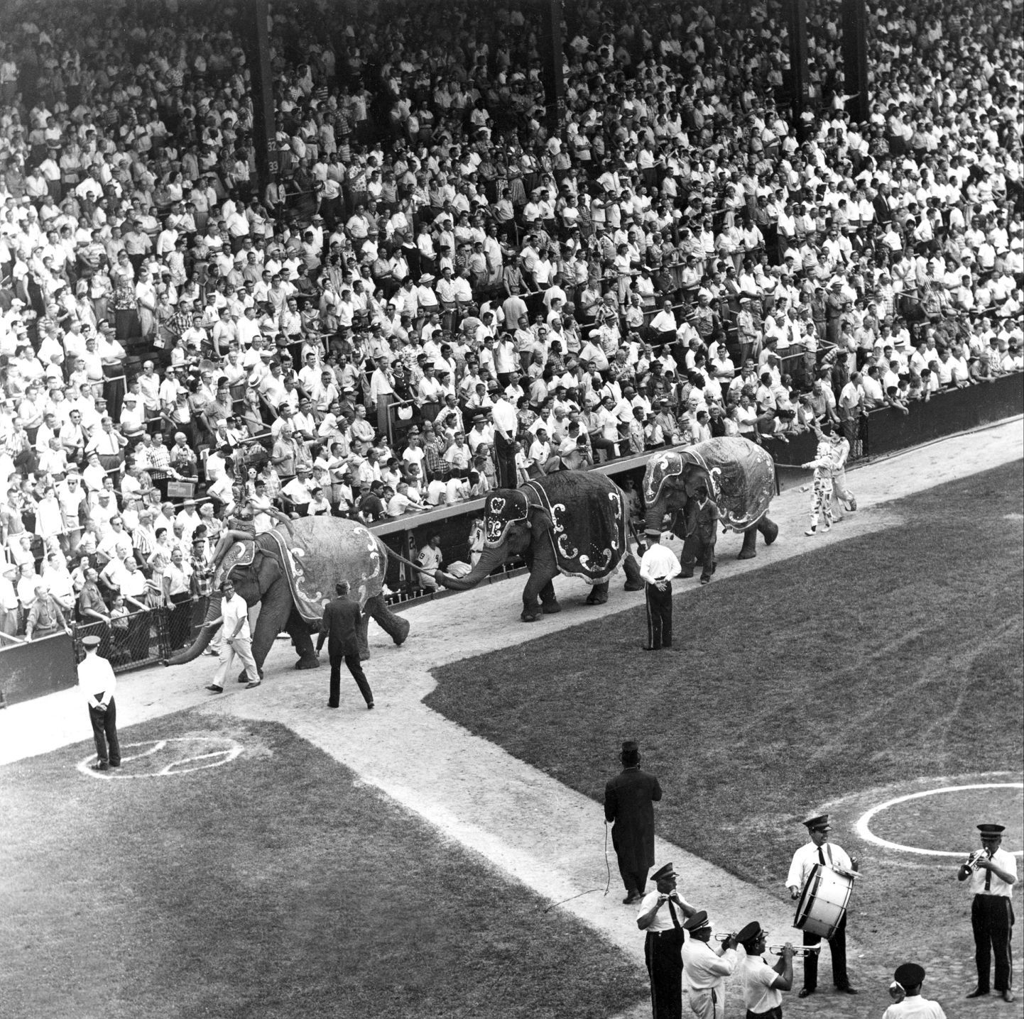 1959: White Sox